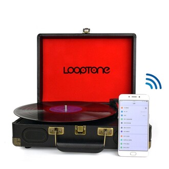 Looptone DS-101 BT Çantalı Pikap - Thumbnail