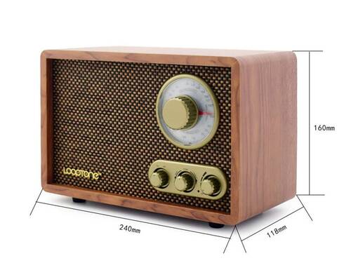 Looptone DSY-R08 Retro Radyo Ceviz