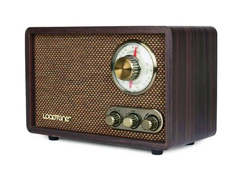 Looptone DSY-R08 Retro Radyo Espresso