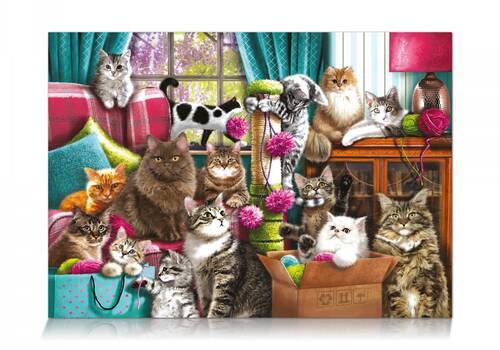 Star Oyun Kedi Evi 1000 Parça Puzzle